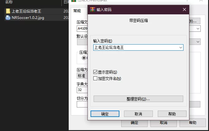 PC– [SLG/动态/官中] NTRサッカー v1.0.2 [1+6.13G][百度盘]