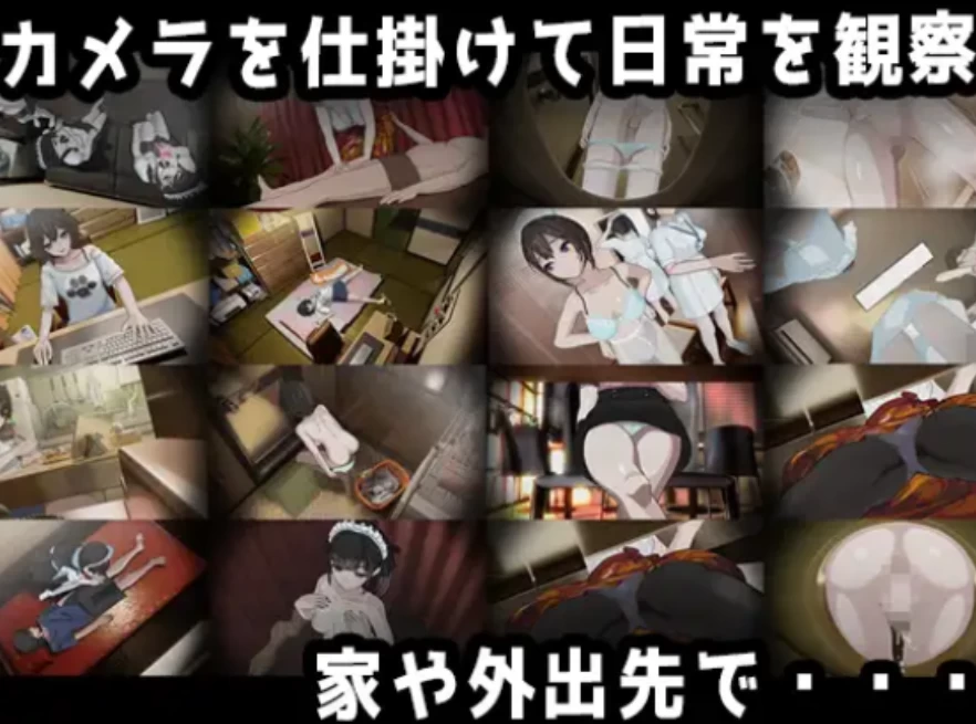 PC爆款【NTL盗摄动态偷窥胁迫凌辱SLG】家 HOME AI汉化+存档 [1+8.5g][百度盘]