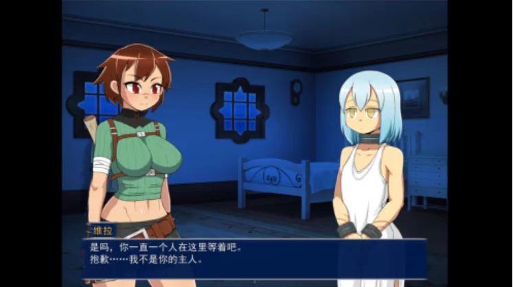 循环迷宫：维拉的大冒险 Dungeon Repeater [PC [1+260m][百度盘]