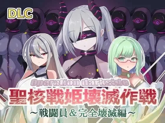 PC爆款 圣核战姫 DX 暗黑行动 圣核战姬毁灭作战 v2.6官中步兵 [1+1g][百度盘]