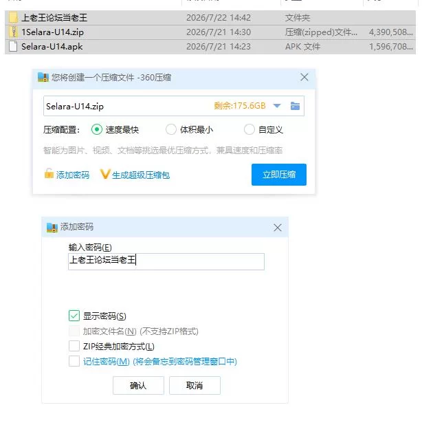 塞拉拉 Selara Update 14【PC+安卓 [1+5.69g][百度盘]