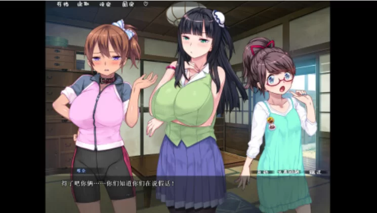 乱情小妹 Summer Days in the Joyful Countryside [PC [1+816m][百度盘]