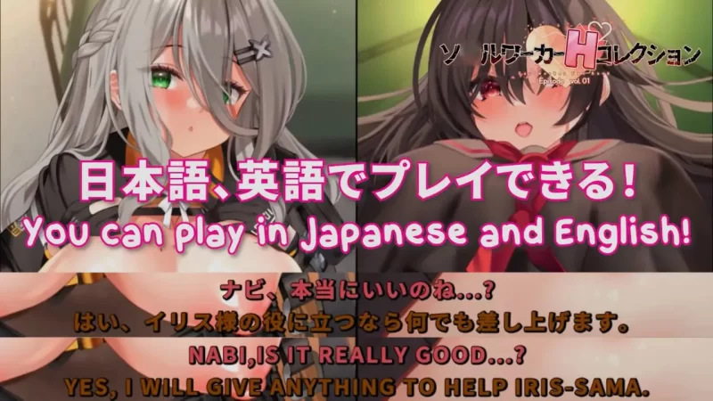PC【SLG/生肉/全CV/动态】ソルワーカーHコレクション~Solworke [1+2.61g][百度盘]
