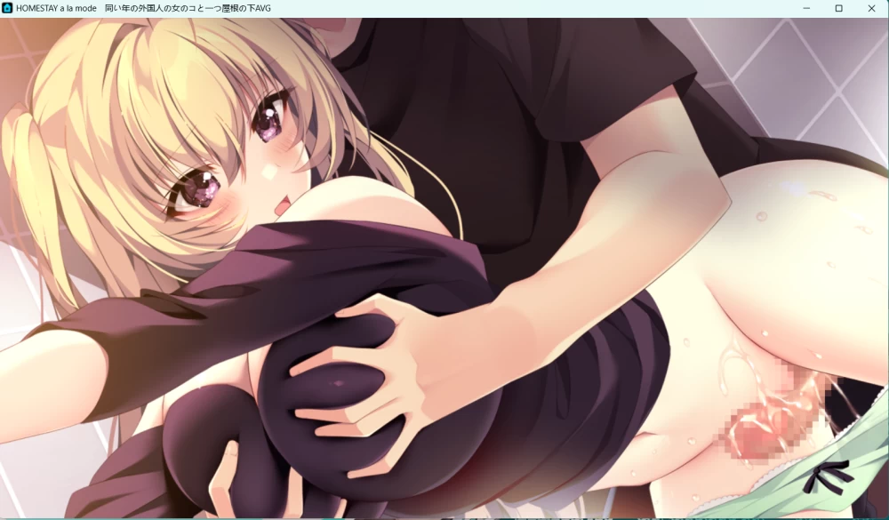 [PC/汉化/竹子社]HOMESTAY  +全cg [1+4.34G][百度盘]