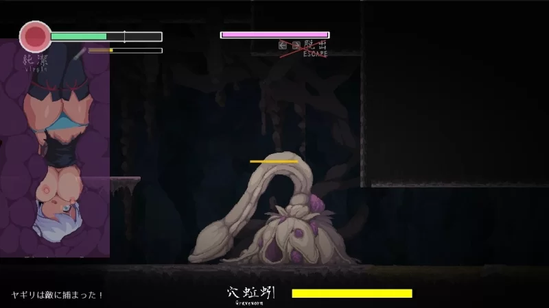 PC【日系ACT像素/官中/全动态】复仇的夜雾v1.0.2 官方中文版 [1+489m][百度盘]
