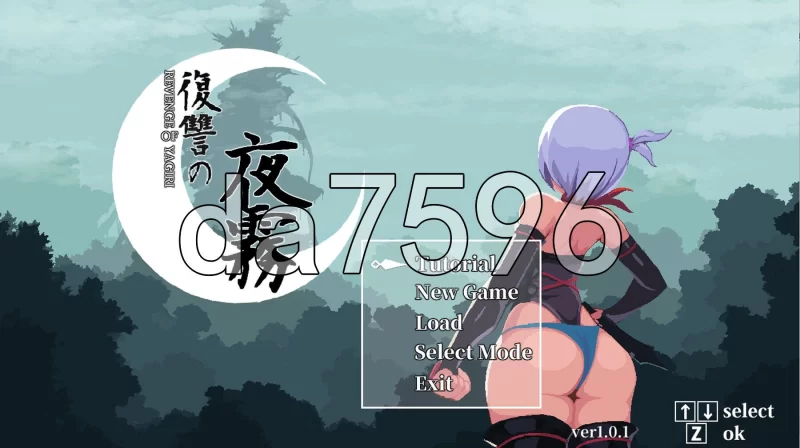 [日式ACT/更新] 复仇的夜雾 復讐の夜霧 v1.0.3 官中版 [1+490M][百度盘]