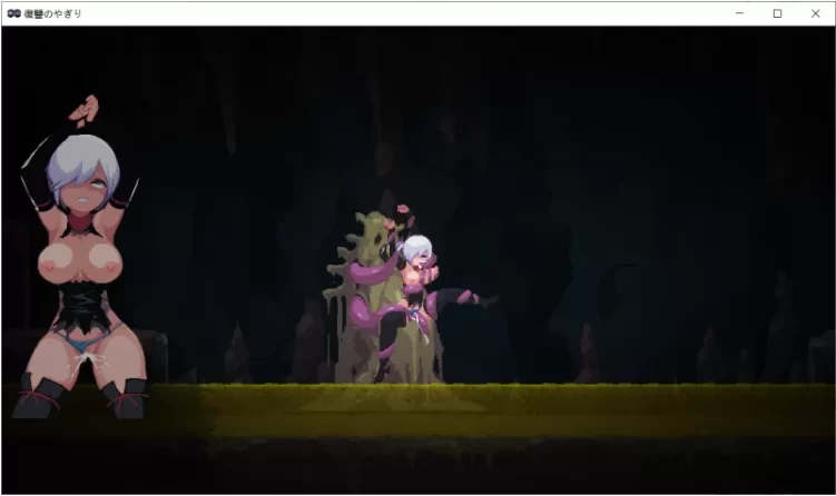 【PC/ACT/官中动态/触手】复仇的夜雾 復讐の夜雾 v1.0.2 存档 [1+538M][百度盘]
