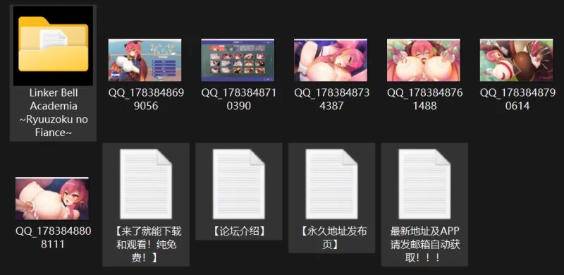 【ADV/巨乳/PC】【Casket】リンカーベル・アカデミア ～龍族… [1+935mb][百度盘]