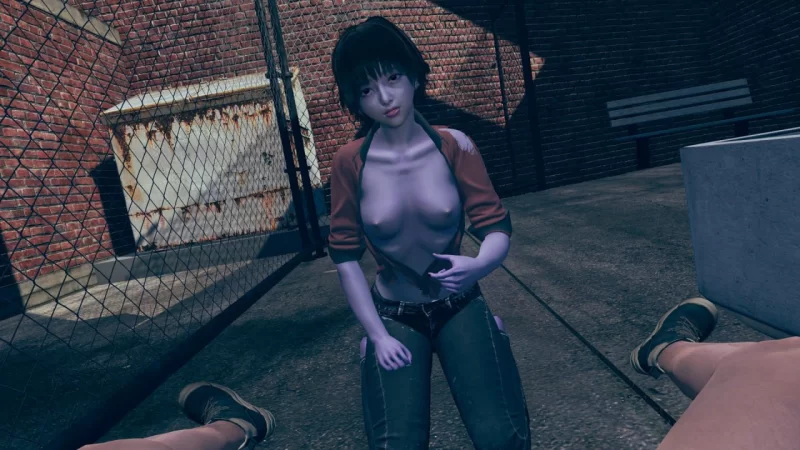 再见另一天 To See Another Day  V0.1.5c 汉化版【PC+安卓】 [1+7.38G][百度盘]