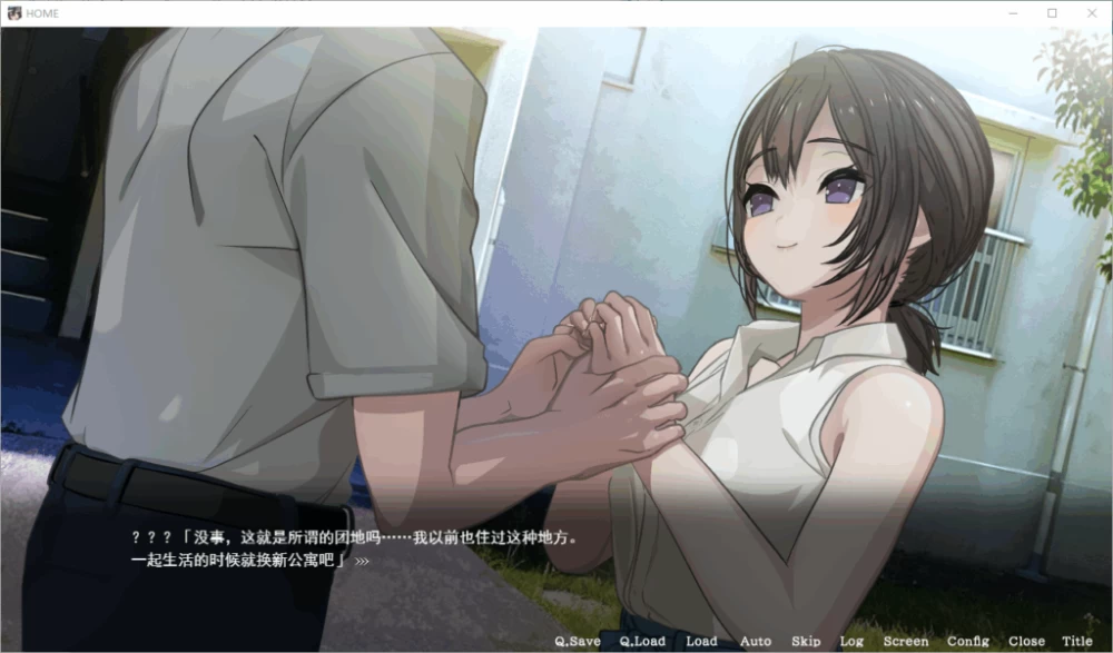 PC/汉化工具/SLG新作【NTL后宫】家 [1+解压前8.14][百度盘]