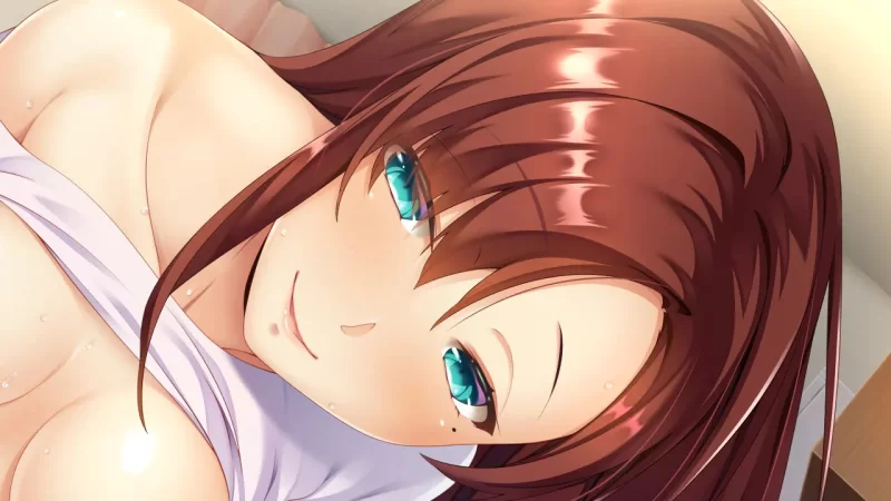PC[ADV/同居/年上/纯爱]SugarKiss！AI汉化 [1+810m][百度盘]