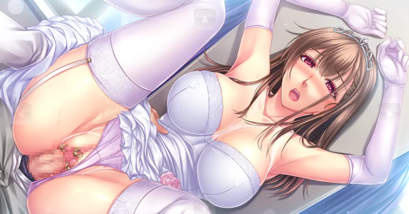 [PC\汉化\后宫\合集]姉姉W催眠系列 1，2，DX [1v+3.59G][百度盘]
