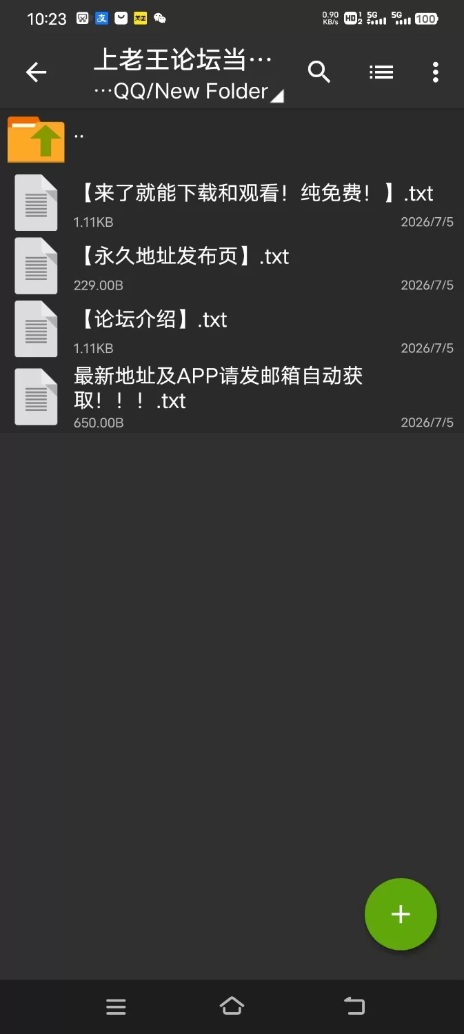 安卓:45号电车 [1+1.08G][百度盘]