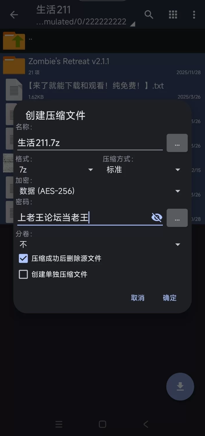 【日式3D/中文/动态/PC】摄影代行/Photography Agency 官方中文版  [1+2g][百度盘]