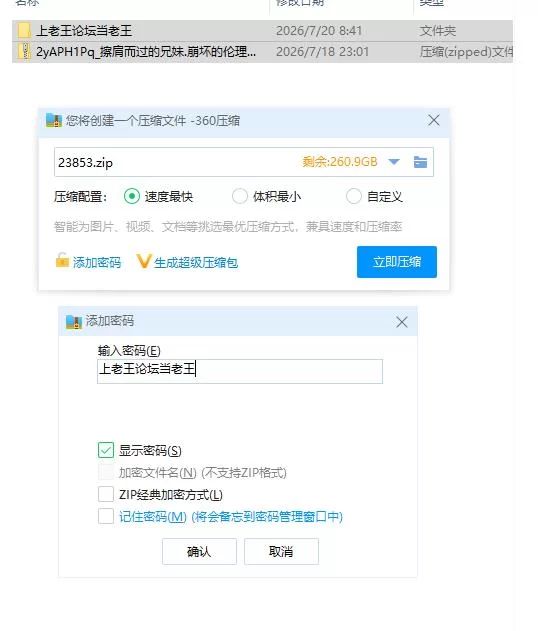 擦肩而过的兄妹.崩坏的伦理观1.0.0【PC [1+2g][百度盘]