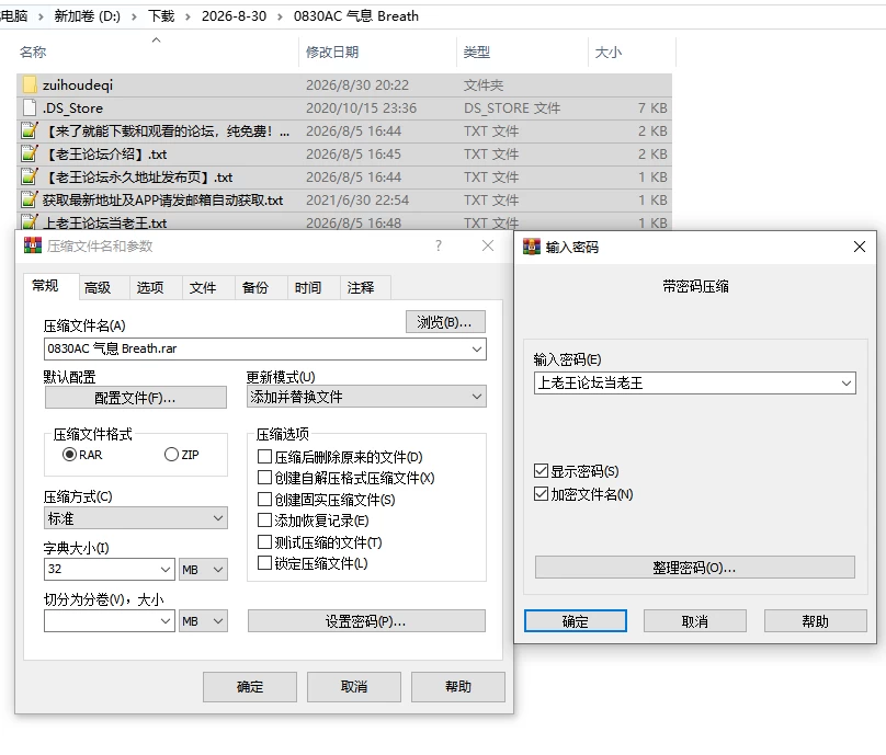 PC/官中/ACT推荐【高质量战斗】最后的气息Ver26.08.28 [1+解压前596MB][百度盘]