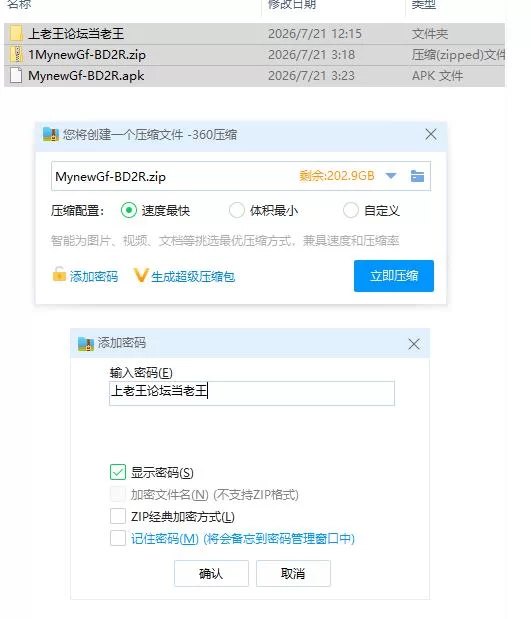 我的新女友 My New Girlfriend Beach Day 2R【PC+安卓 [1+3.49g][百度盘]