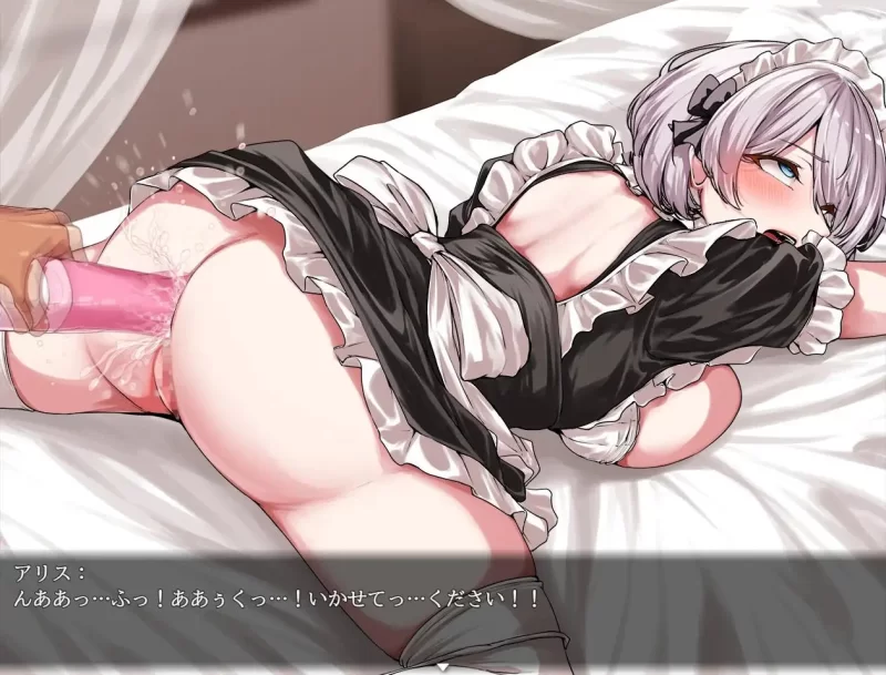 双端[探索RPG/女仆羞辱]没落女仆 阴道与毒药 V1.0 内嵌AI汉化 [2+2.7g][百度盘]