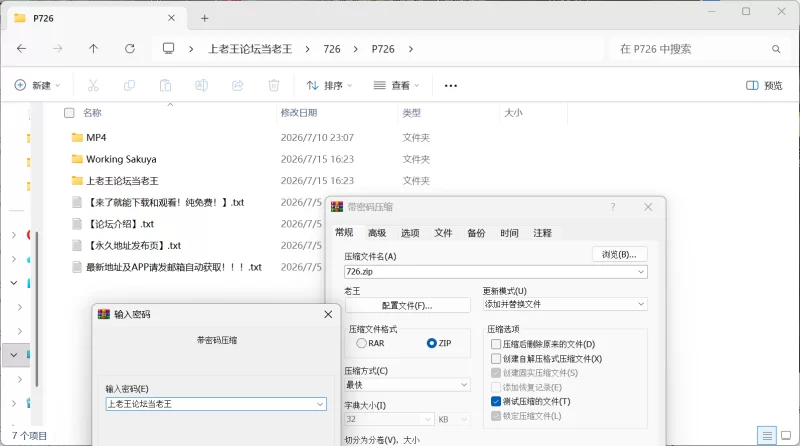 [双端/2D/SLG/精品/调教/动态]敬业女仆咲夜 Working Sakuya V7.1.2 [4+2.9G][百度盘]
