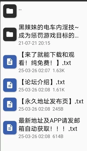 【手游/ty模拟器】黑辣妹的电车内淫技 ～成为惩罚游戏目标的我～ [1+408.42MB][百度盘]