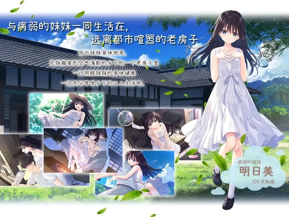 [RPG/PC/官中/动态]痴情哥哥与病弱妹妹的乡间生活 官中版Append [1+4.19GB][百度盘]