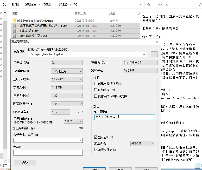 [3D/官中+DLC /PC+安卓]尼特与天使与色色家族 v1.45 [2+7.77G][多种下载方式]