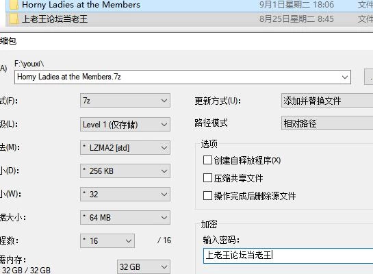 【ADV/CV】欢迎来到会员制夜间泳池 v1.5 官方中文版 [1+917M][百度盘]