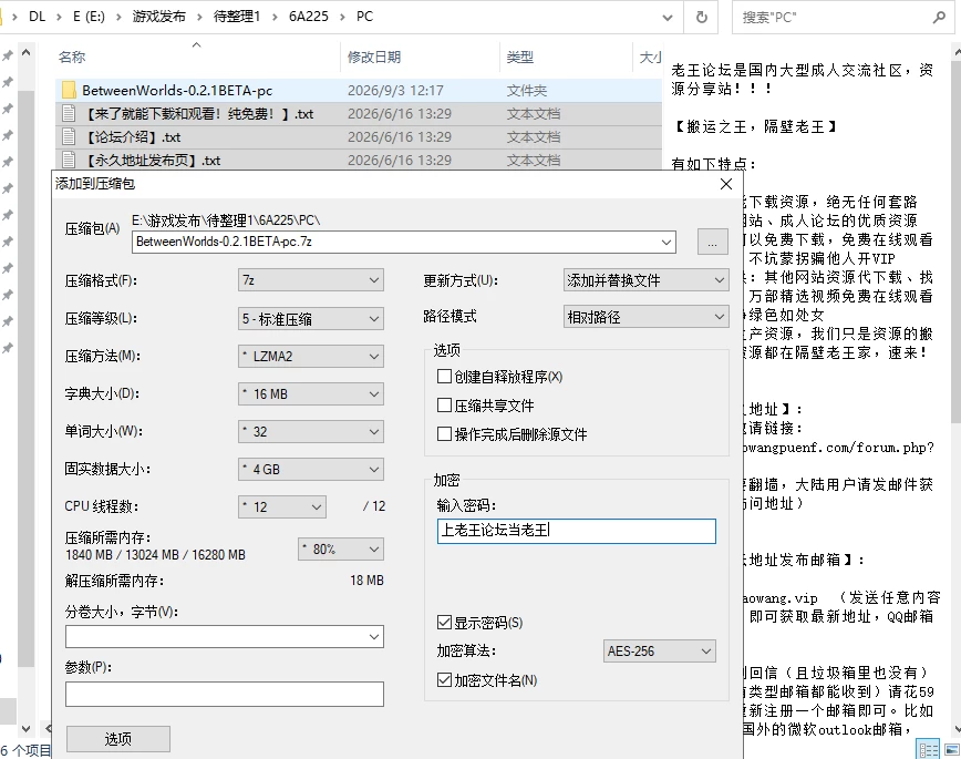 【精品SLG/汉化/PC+安卓】世界之间 Between Worlds v0.2.01 [2+6.12G][多种下载方式]