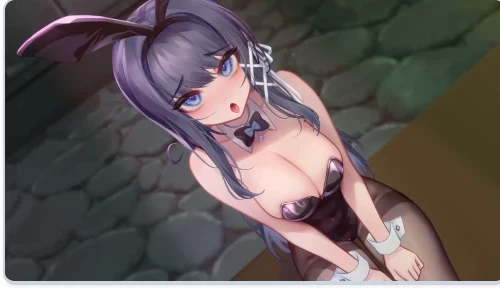 更新[精品RPG/动态pc]希尔丝大冒险v1.1.0官中步兵版全回想存档 [1+1.80G][百度盘]