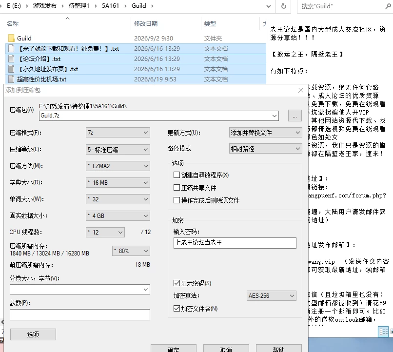 【RPG/AI汉化/PC】公会 The Guild V0.3 [2+0.97G][多种下载方式]