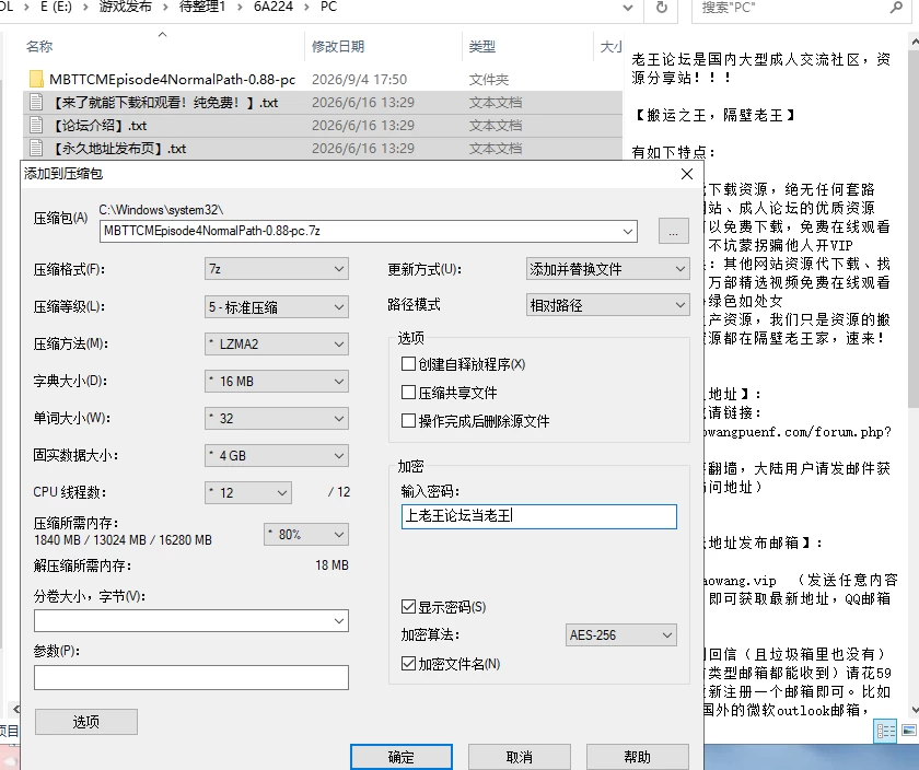 [ADV/汉化/PC]燃夜时刻! ハッスルタイム! v191031 [2+1.36G][多种下载方式]