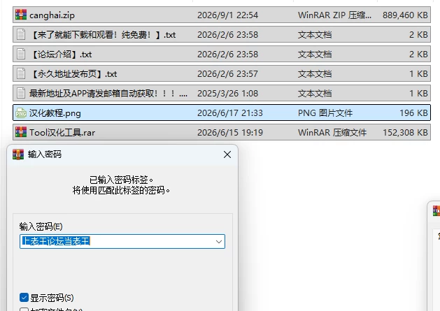 PC[卡牌RPG/肉鸽元素/Live2D动态] 苍海的女间谍 Ver1.0.1 官中步兵版 [1+870M][百度盘]