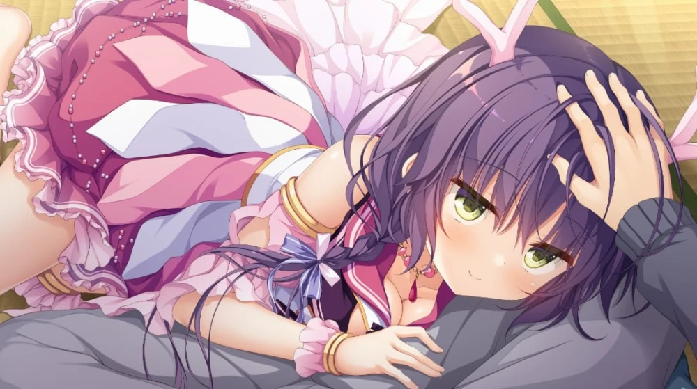 [PCADV官中步兵] 龙姬混日子 竜姫ぐーたらいふ [1 2 3 外传]合集 存档[8G] [1+8G][百度盘]