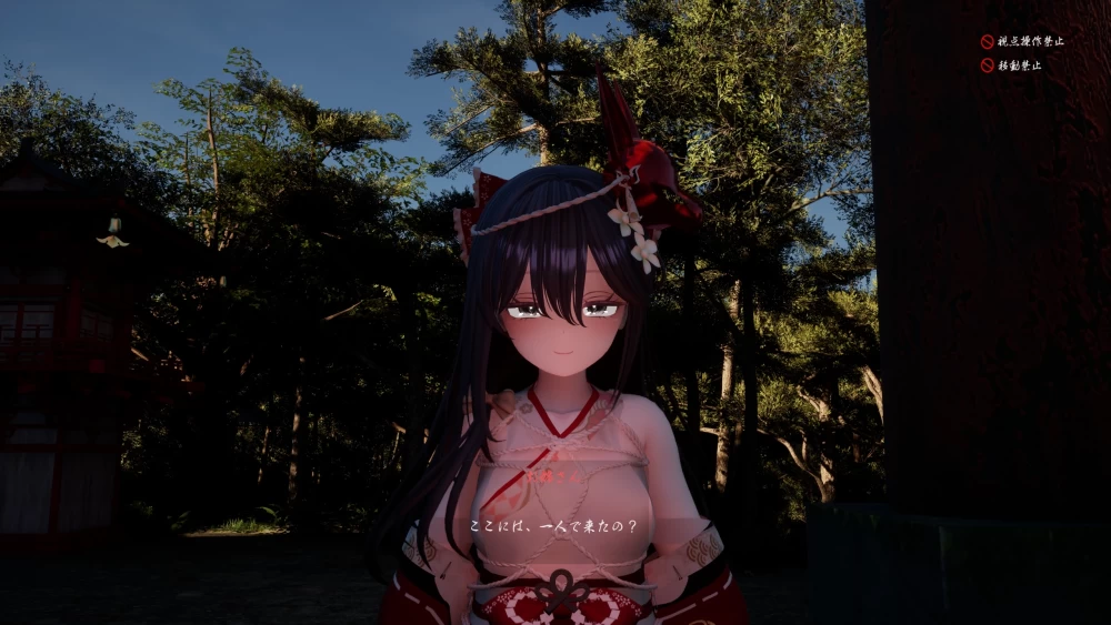 PC[3D/VR/动态/姐姐]病娇姐姐的神隐 Ver1.02 AI汉化去码步兵 [1+4.3g][百度盘]