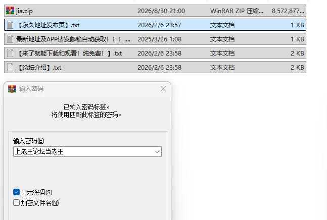 PC新作[日式SLG/NTR寝取/动态] 家 HOME AI汉化版 [1+8.2G][百度盘]