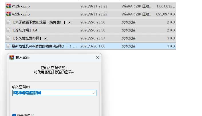 PC＋安卓【欧美SLG/完结】旅行者-完结 AI汉化版 [1+1.71G][百度盘]