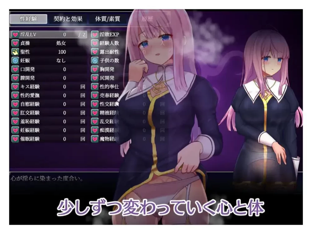 【SLG/PC/安卓joi/官中/特典】艾妮希雅与契约纹 ～v1.02 [1+1.71G][百度盘]