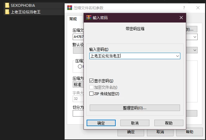 PC–性恐惧症 SEXOPHOBIA STEAM官中步兵版 [1+1.16G][百度盘]