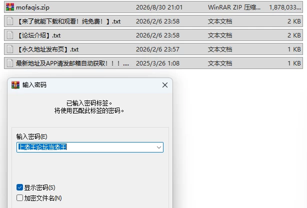 PC新作[日式ADV/NTR寝取] 魔法骑士琳芙莉娅2  AI汉化版+全CG存档 [1+1.8G][百度盘]